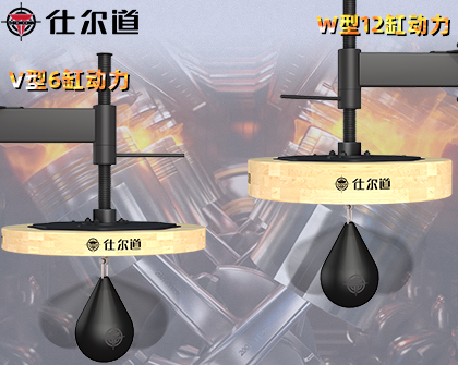 可升降速度球板